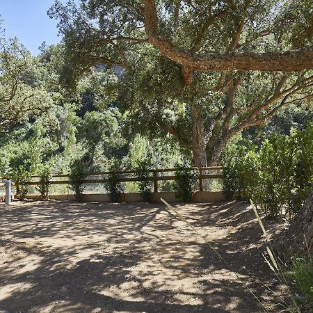 Pola Giverola Camp Тосса-де-Мар Экстерьер фото