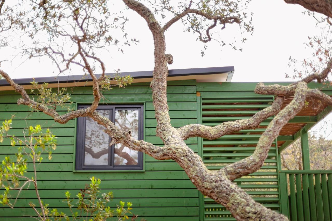 Pola Giverola Camp Тосса-де-Мар Экстерьер фото