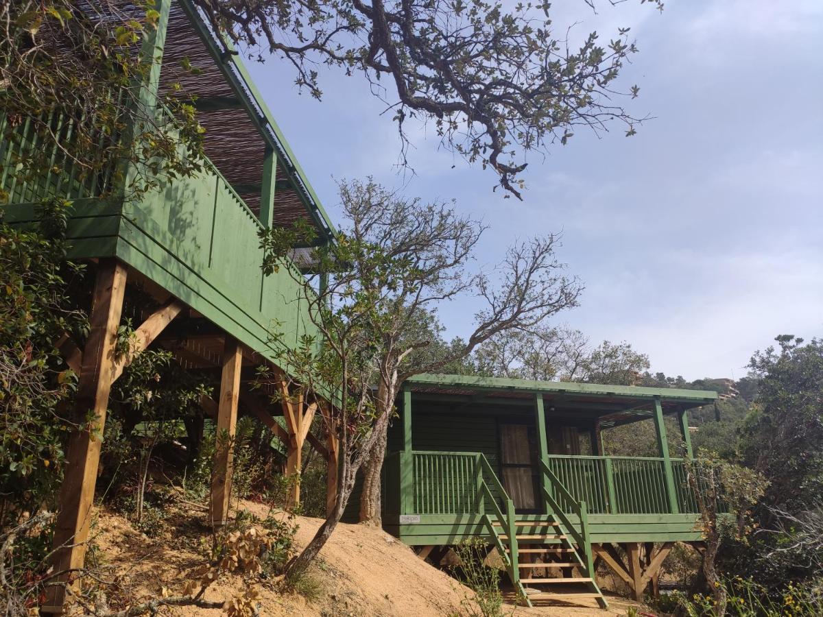 Pola Giverola Camp Тосса-де-Мар Экстерьер фото