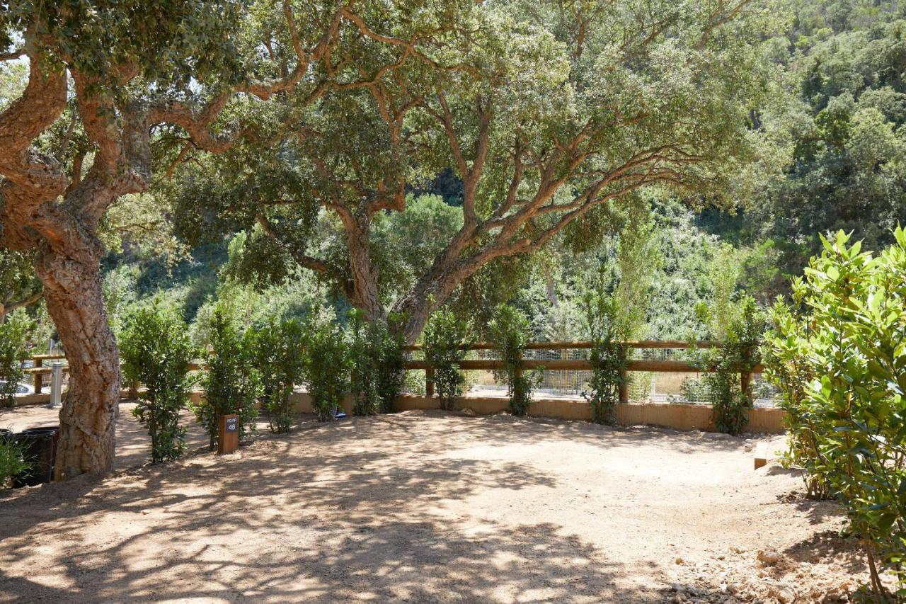 Pola Giverola Camp Тосса-де-Мар Экстерьер фото