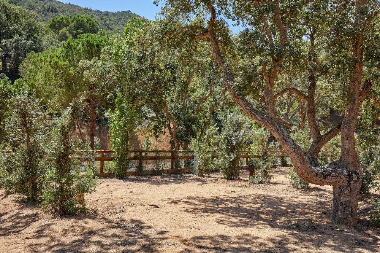 Pola Giverola Camp Тосса-де-Мар Экстерьер фото
