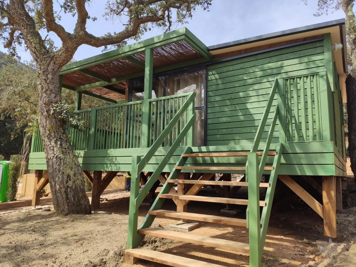 Pola Giverola Camp Тосса-де-Мар Экстерьер фото