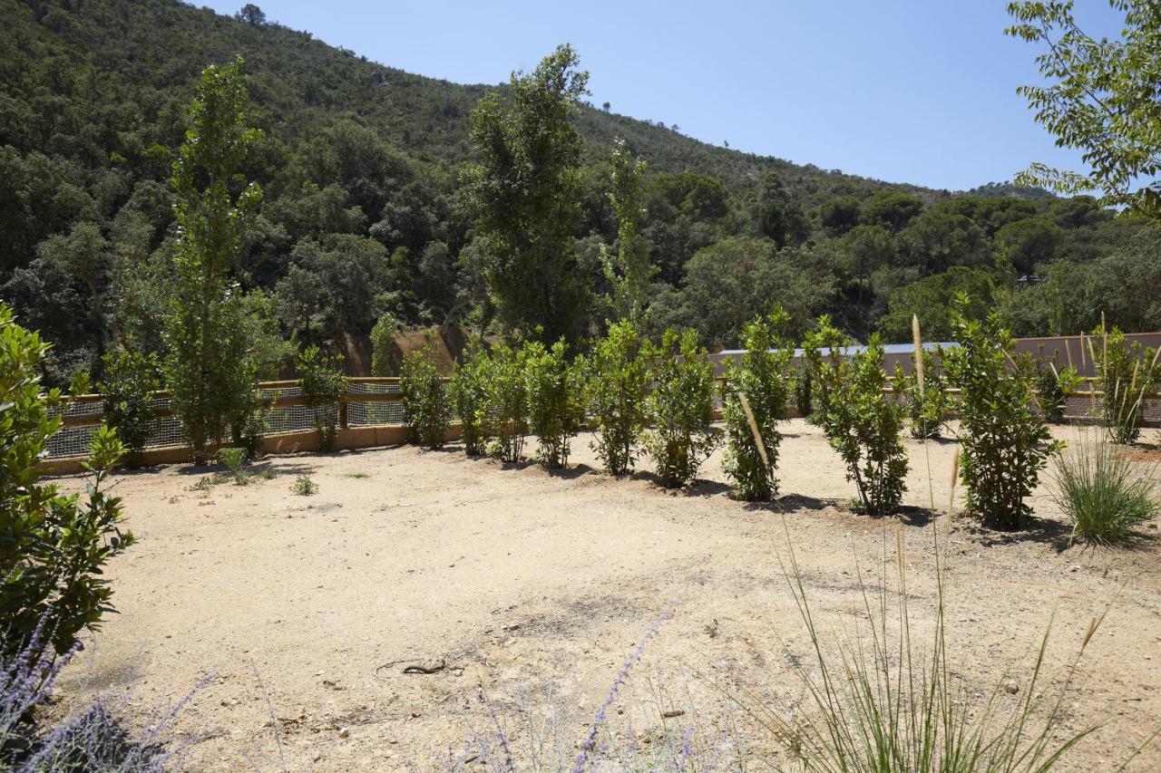 Pola Giverola Camp Тосса-де-Мар Экстерьер фото